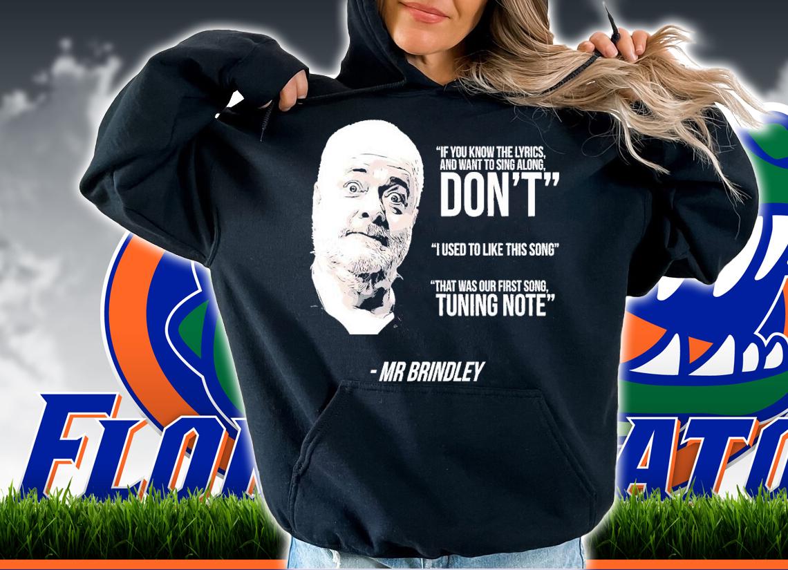 If you know the lyrics and want to sing along don't I used to like this song Mr Brindley shirt t-shirt hoodie