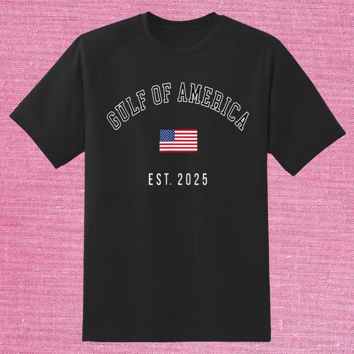 Shirt Shirt