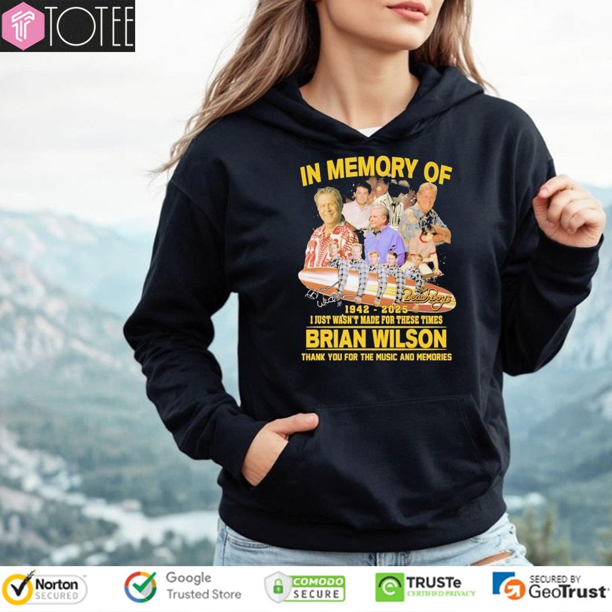 The Beach Boys In Memory Of Brian Wilson 1942 2025 I Just Wasnt For These Times Hoodie